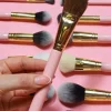 Best Sale P.Louise #695 Brush Single Brushes