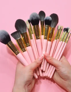 Sale P.Louise Brush Bundle Brush Sets
