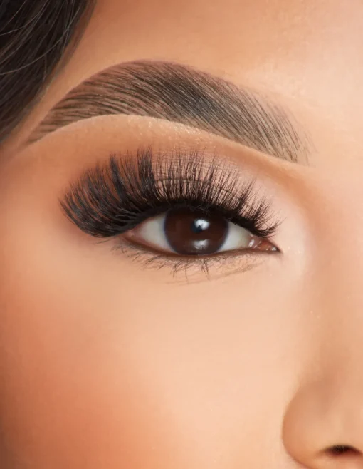 Sale P.Louise Lashes - Live, Love, Lashed Lashes