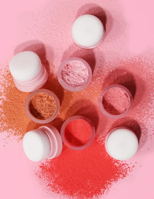 Cheap P.Louise The Cheek Of It - Loose Powder Blush Blush