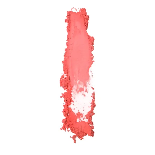 Cheap P.Louise The Cheek Of It - Loose Powder Blush Blush