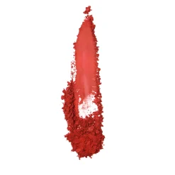 Cheap P.Louise The Cheek Of It - Loose Powder Blush Blush