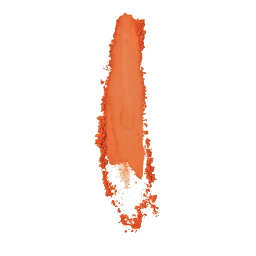 Cheap P.Louise The Cheek Of It - Loose Powder Blush Blush