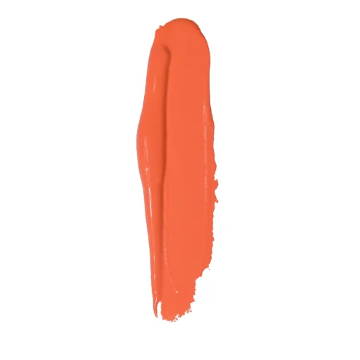 Shop Plouise The Cheek of it - Liquid Blush Blush