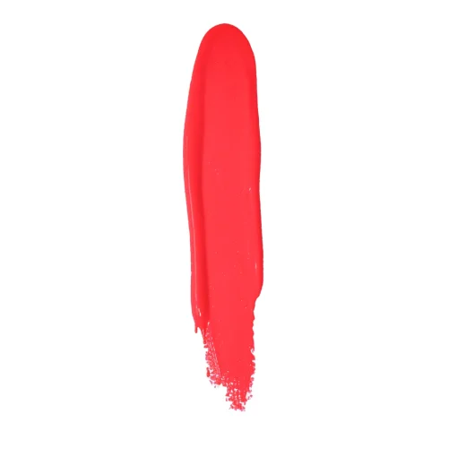 Shop Plouise The Cheek of it - Liquid Blush Blush