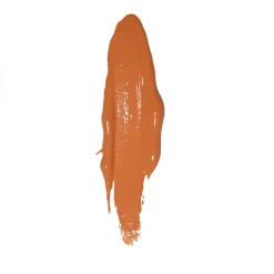 Shop Plouise The Cheek of it - Liquid Blush Blush